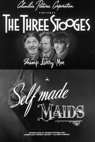 Görsel: TMDB Self-Made Maids afişi