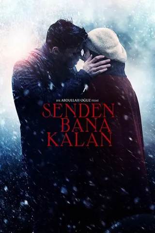 Görsel: TMDB Senden Bana Kalan afişi