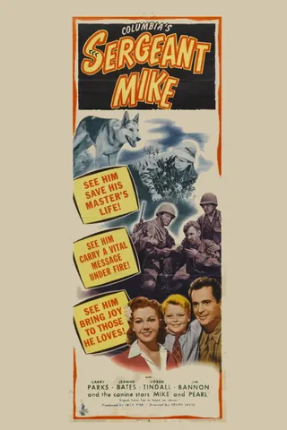 Görsel: TMDB Sergeant Mike afişi