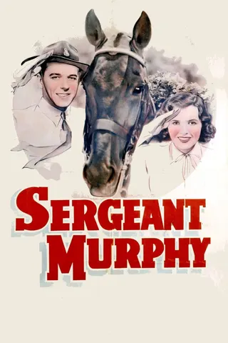 Görsel: TMDB Sergeant Murphy afişi