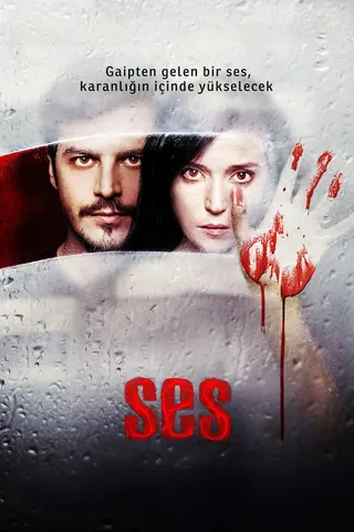 Ses afişi