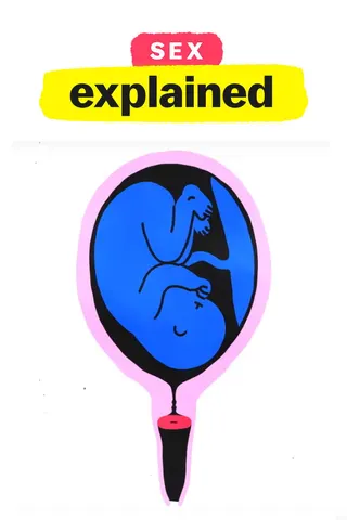 Sex, Explained afişi