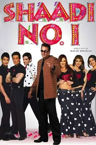 Görsel: TMDB Shaadi No. 1 afişi