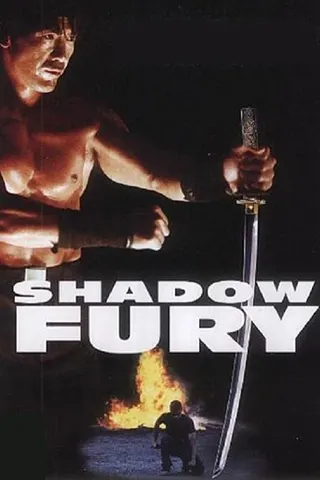 Görsel: TMDB Shadow Fury afişi