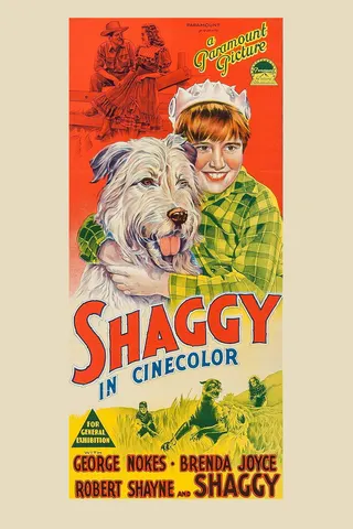 Görsel: TMDB Shaggy afişi