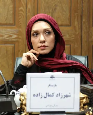 Shahrzad Kamalzadeh