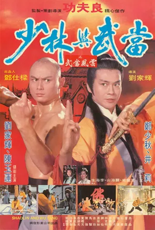Görsel: TMDB Shaolin and Wu Tang afişi