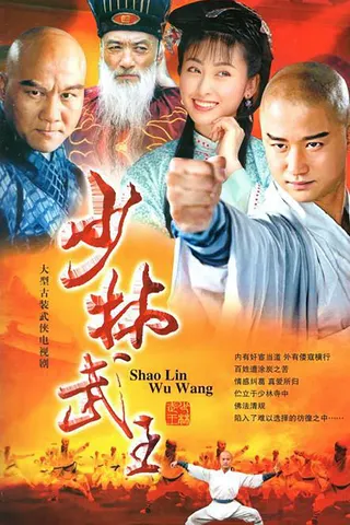 Görsel: TMDB Shaolin King of Martial Arts afişi