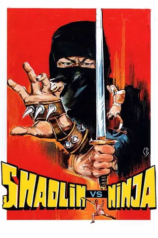 Görsel: TMDB Shaolin vs. Ninja afişi