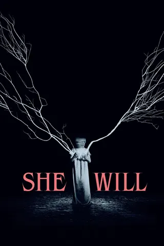 She Will afişi