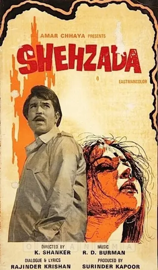 Görsel: TMDB Shehzada afişi
