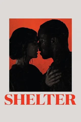 Görsel: TMDB Shelter afişi