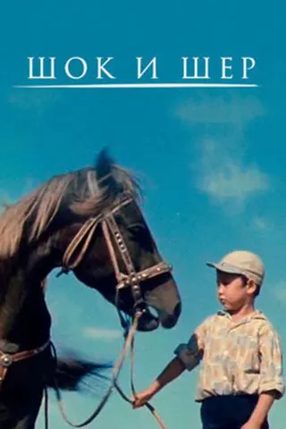 Shok and Sher afişi