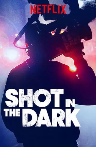 Shot in the Dark afişi
