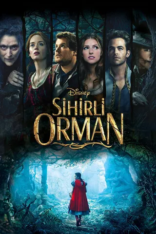 Sihirli Orman afişi
