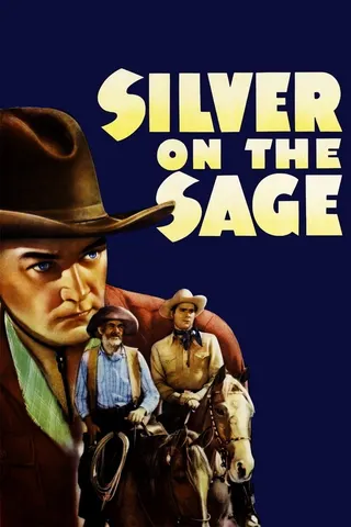 Görsel: TMDB Silver on the Sage afişi