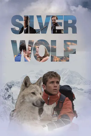 Görsel: TMDB Silver Wolf afişi