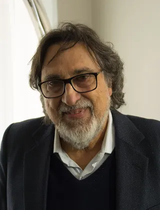 Görsel: Carlos Figueroa Rojas / CC BY-SA Silvio Caiozzi