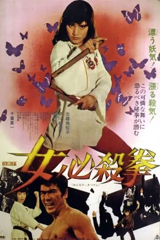 Görsel: TMDB Sister Street Fighter afişi