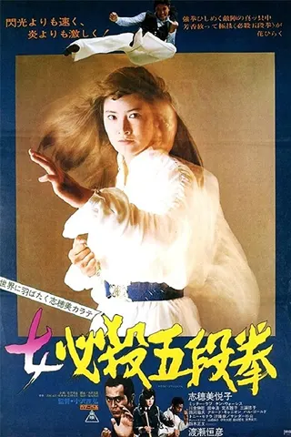 Görsel: TMDB Sister Street Fighter – Fifth Level Fist afişi