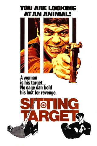 Görsel: TMDB Sitting Target afişi