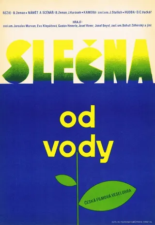 Slečna od vody afişi