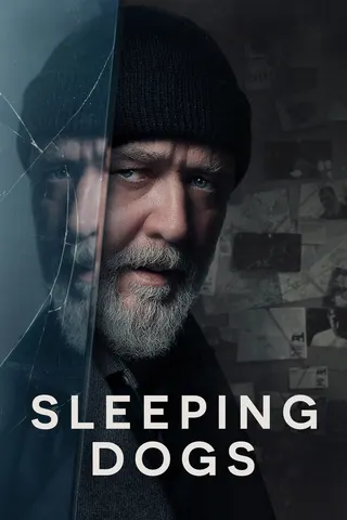 Sleeping Dogs afişi