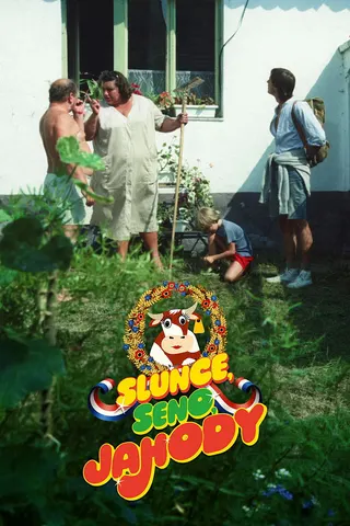 Slunce, seno, jahody afişi