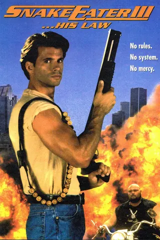 Görsel: TMDB Snake Eater III: His Law afişi