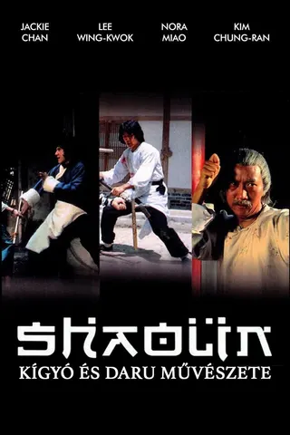 Snake & Crane Arts of Shaolin afişi