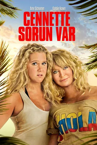 Görsel: TMDB Snatched afişi