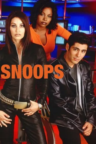 Snoops afişi
