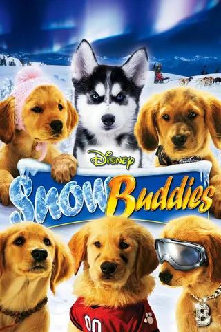 Snow Buddies afişi