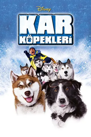 Snow Dogs afişi