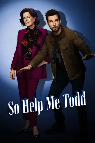 So Help Me Todd afişi