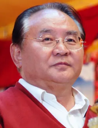 Görsel: Lotsawa108 / CC BY Sogyal Rinpoche