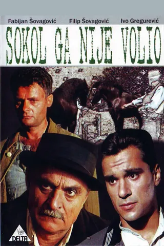 Sokol Did Not Love Him afişi