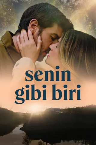 Someone Like You afişi