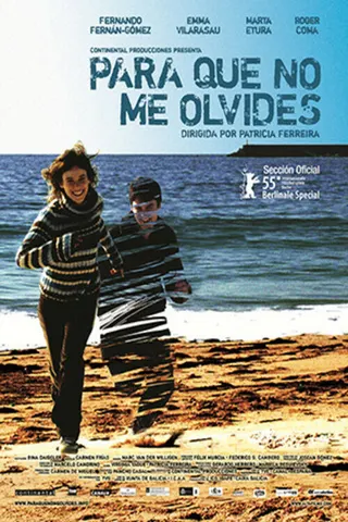 Something to Remember Me By afişi