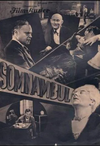 Görsel: TMDB Somnambul afişi