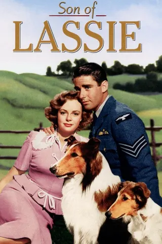 Son of Lassie afişi