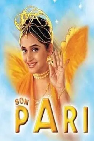 Son Pari afişi