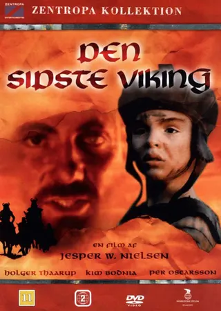 Son Viking afişi