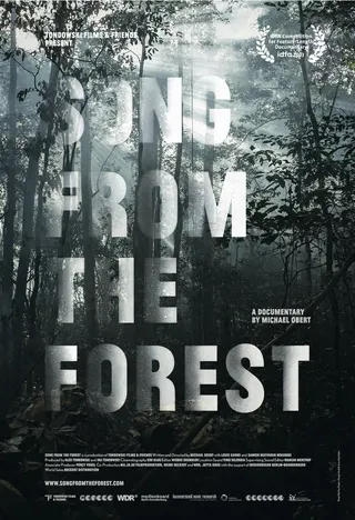 Görsel: TMDB Song from the Forest afişi