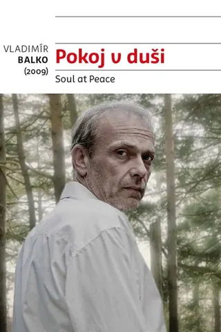 Görsel: TMDB Soul at Peace afişi