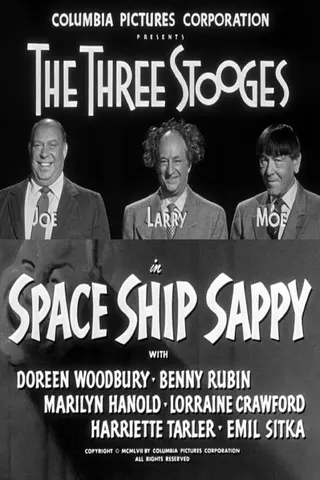 Görsel: TMDB Space Ship Sappy afişi