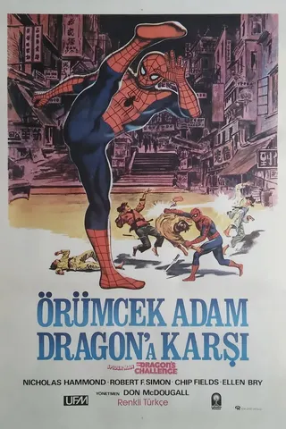 Spider-Man: The Dragon's Challenge afişi