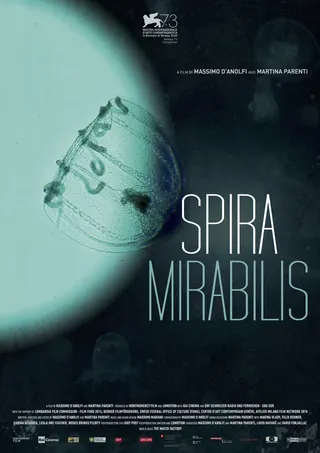 Görsel: TMDB Spira Mirabilis afişi