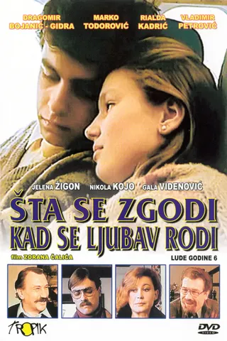 Görsel: TMDB Šta se zgoda kad se ljubav rode afişi