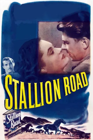 Görsel: TMDB Stallion Road afişi